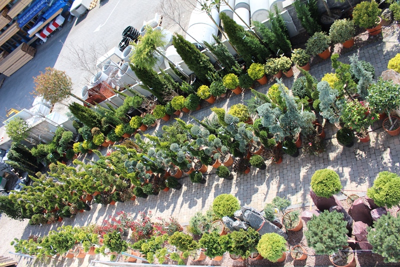 Pflanzenausstellung der BEDRI GmbH mit grosser Auswahl an Gartenpflanzen